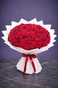 Red Royal Dome